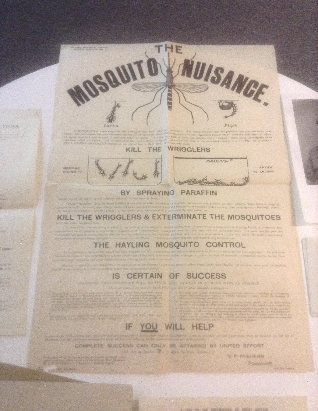 A poster produced by the British Mosquito Control Institute in the 1920s