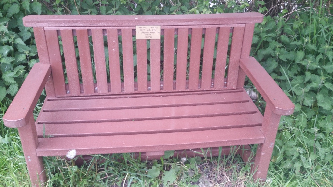‘Trix and Ken’s bench’ Shapwick Heath nature Reserve, the Somerset Levels