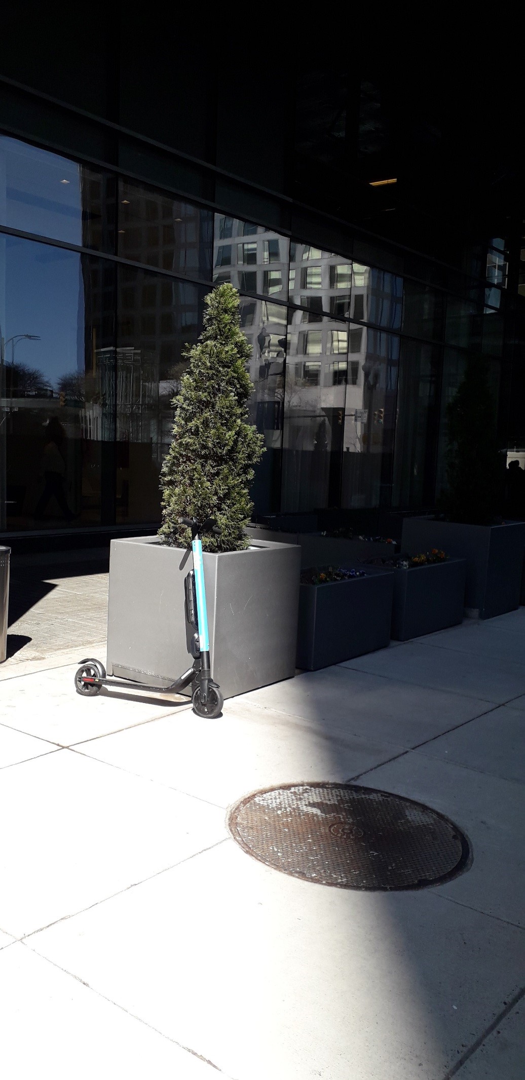 scooter2